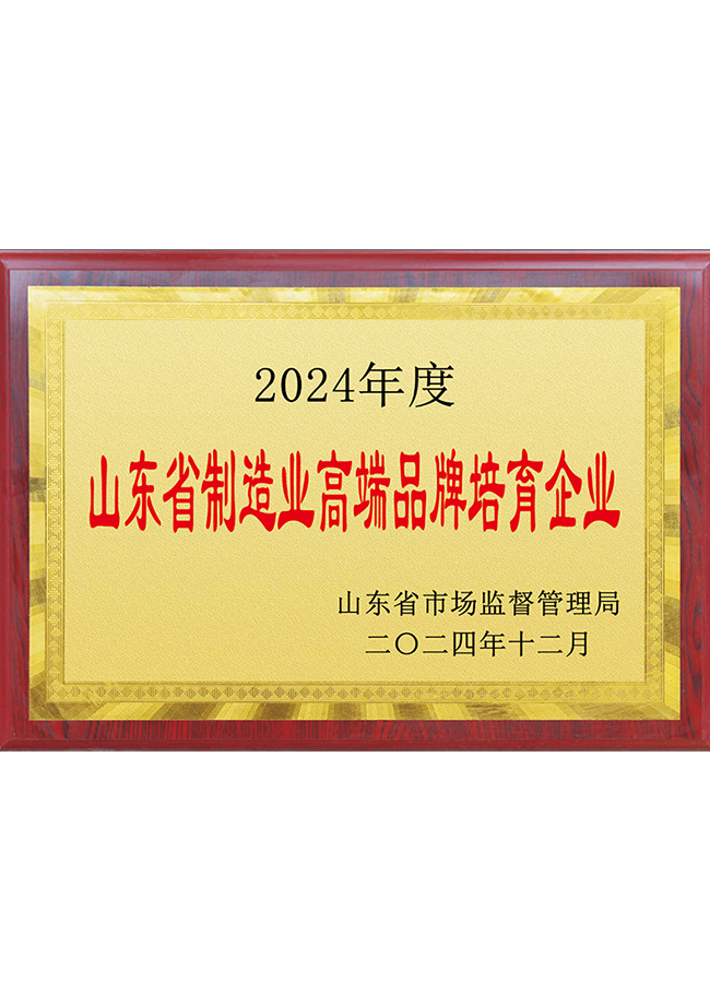 山東省制造業(yè)高端品牌培育企業(yè)
