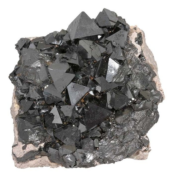 FVǷǳҪPIдFVwwӛ䛴ň׃@ЩϢX@׺cڅżͬãĽYкм{׵ȼĴԾwСw(magnetosomes)|Ͼ_PSMЌ