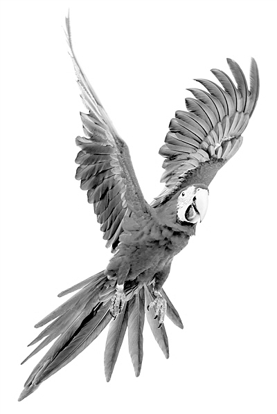 ݻBƌW(xu)҂߀ڌ𰸡