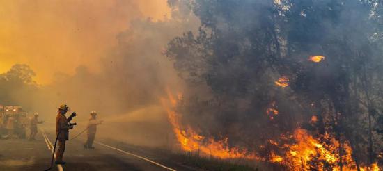  DƬԴQueensland Fire and Emergency Services