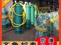 BQS70-136/2-55/NīTFɳˮ늱  ߓP(yng)  ˮڏ úJ(rn)C